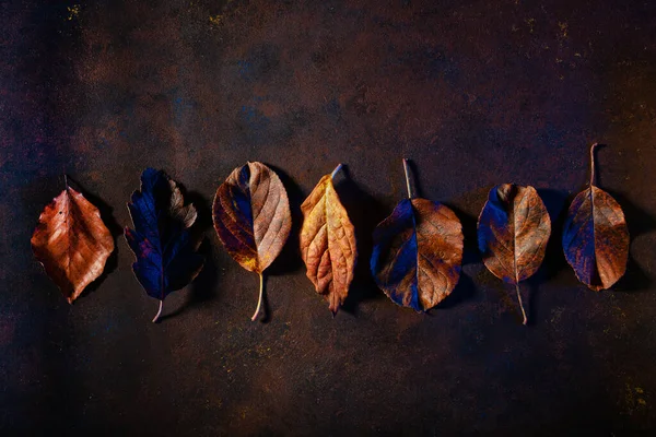 Темно Капризный Выцветший Коричневый Синий Осенний Лист Фона Осенний Распад — стоковое фото