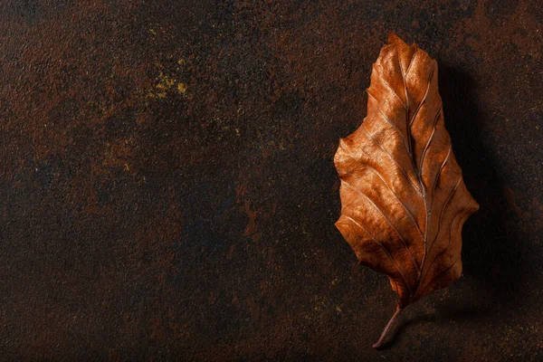 Темно Капризный Выцветший Коричневый Осенний Лист Фона Осенний Распад — стоковое фото