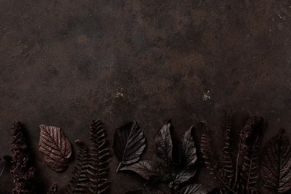 Dark Moody Faded Autumn Leaf Background Brown Fall Plants Decay — Stock Photo, Image