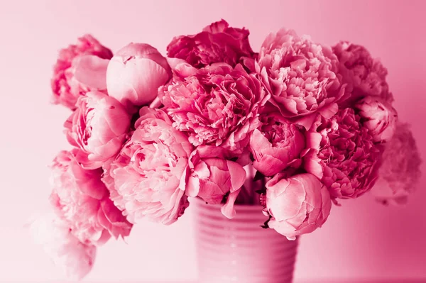 2023 Farbe Viva Magenta Schöne Rosa Pfingstrose Blume Hintergrund — Stockfoto