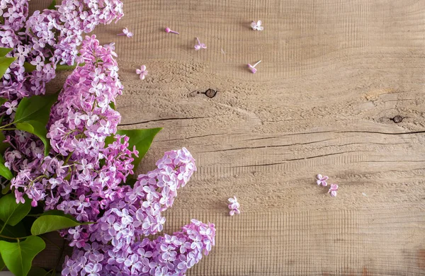 Piękne Kwiaty Lilii Drewnianym Tle — Zdjęcie stockowe