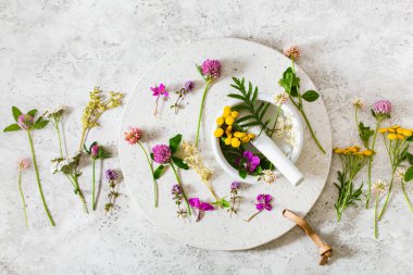 Tıbbi bitkiler havanda. Clover Milfolyo tansy Rosebay. sağlıklı doğal yaşam tarzı