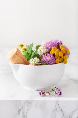 Tıbbi bitkiler havanda. Clover Milfolyo tansy Rosebay. sağlıklı doğal yaşam tarzı