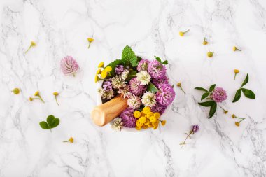 Tıbbi bitkiler havanda. Clover Milfolyo tansy Rosebay. sağlıklı doğal yaşam tarzı