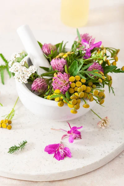 Geneeskrachtige Bloemen Kruiden Mortel Clover Milfoil Tansy Rosebay Gezonde Natuurlijke — Stockfoto