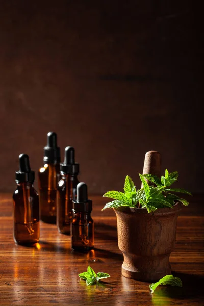Fresh Mint Peppermint Herb Leaves Mortar Essential Oil Dropper Bottles — Stock fotografie