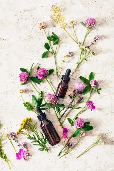 Léčivé Květiny Byliny Esenciální Oleje Lahvích Alternativní Medicínu Jetel Milfoil — Stock fotografie