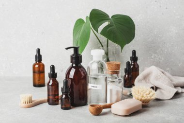 sıfır atık çevre dostu temizlik konsepti. Tahta fırçalar, kabartma tozu, sirke