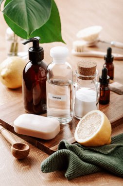 sıfır atık çevre dostu temizlik konsepti. Tahta fırçalar, kabartma tozu, sirke