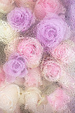 Su damlaları arkaplanlı güzel pembe gül çiçekleri.