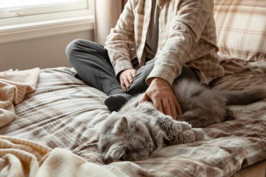 Kafkas bir adam evde dinleniyor, yatakta gri tüylü kedisine sarılıyor.