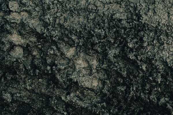 dark muddy soil background, dirty ground 