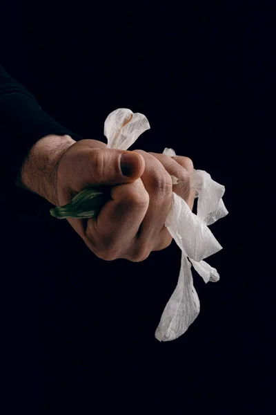 手工揉碎的白色脆弱的花朵 暗示着暴力侵害 — 图库照片
