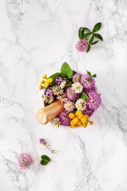 Tıbbi çiçekler, havan topları, alternatif ilaçlar. Yonca folyo tansy rosebay