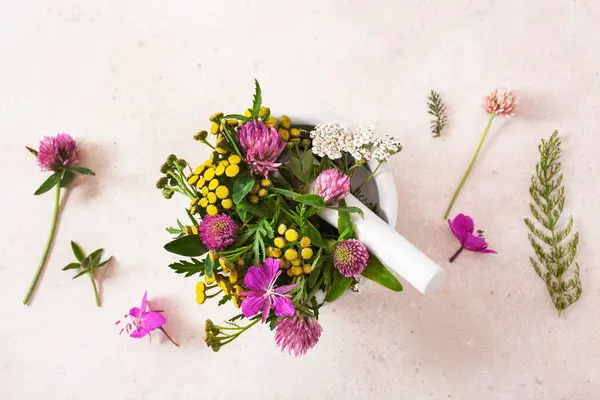 丰富多彩的医疗花卉和草药在砂浆 图库照片