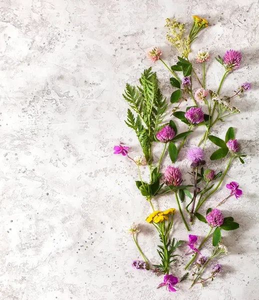 医療用の花のハーブ代替医療健康的なライフスタイル ミルフォイル タンジー ローズベイを ロイヤリティフリーのストック画像
