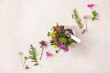 Tıbbi çiçekler, havan topları, alternatif ilaçlar. Yonca folyo tansy rosebay