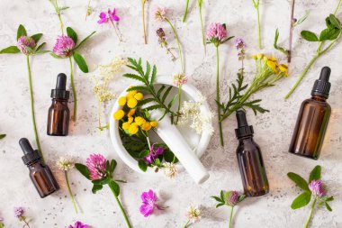 Tıbbi çiçek bitkileri havan yağlarında şişelerde gerekli yağlar. Alternatif tıp Yonca folyo tansy rosebay