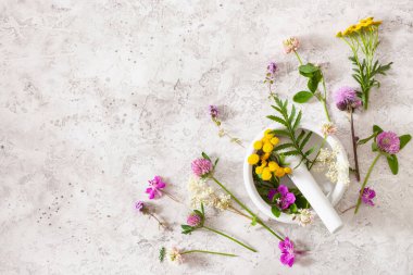 Tıbbi çiçekler, havan topları, alternatif ilaçlar. Yonca folyo tansy rosebay