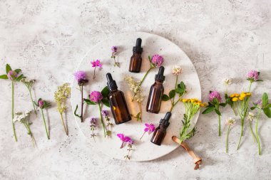 Tıbbi çiçek bitkileri havan yağlarında şişelerde gerekli yağlar. Alternatif tıp Yonca folyo tansy rosebay