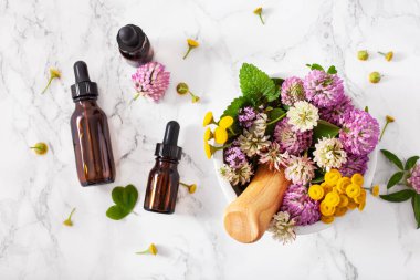 Tıbbi çiçek bitkileri havan yağlarında şişelerde gerekli yağlar. Alternatif tıp Yonca folyo tansy rosebay