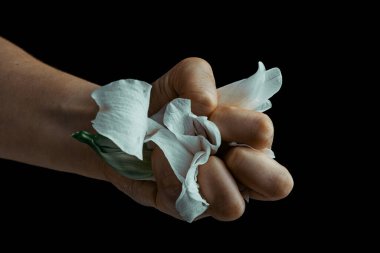 hand crumpling white fragile flower, metaphor of violence abuse aggression