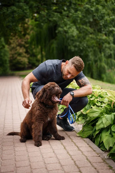 拍毛茸茸的小狗与它的男性主人一起走在夏季公园 — 图库照片