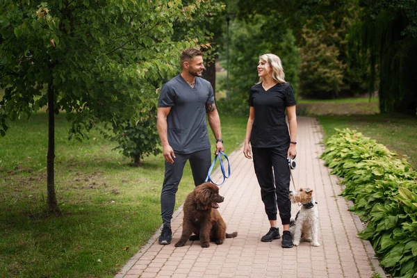 一对欢欢喜喜的夫妇度假时与狗在公园散步的画像 — 图库照片