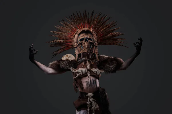 Gri Arka Planda Izole Edilmiş Tören Kıyafeti Giymiş Şaman Kadın — Stok fotoğraf