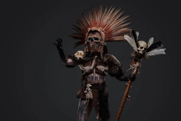 Retrato Bruja Aborigen Vestida Con Atuendo Ceremonial Tocado Plumas — Foto de Stock