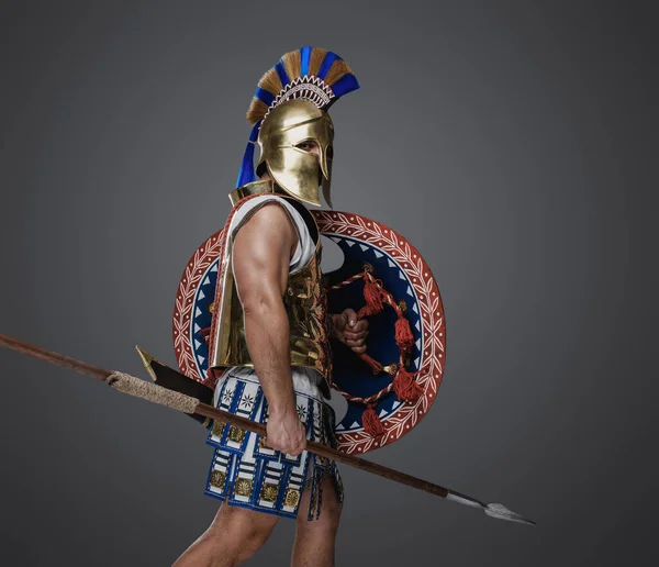 Studio Záběr Izolovaných Šedém Pozadí Voják Starověkého Řecka Štítem Oštěpem — Stock fotografie