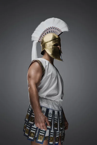 Gri Arka Planda Tüylü Miğferi Olan Yunanlı Otantik Askerin Portresi — Stok fotoğraf
