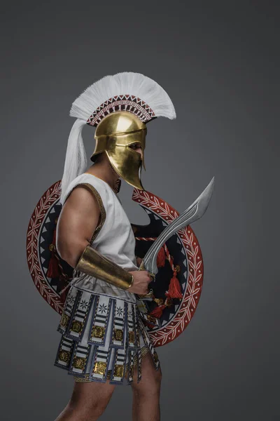 Tiro Guerrero Antigua Grecia Con Espada Escudo Contra Fondo Gris —  Fotos de Stock