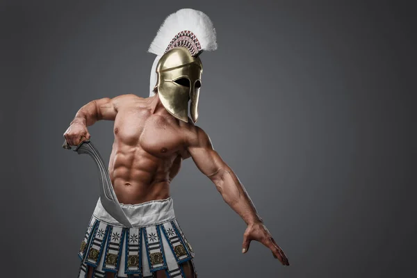 身强体壮 身强体壮 身强体壮的古希腊士兵的画像 — 图库照片