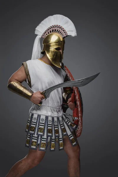 Tiro Guerrero Antigua Grecia Con Espada Escudo Contra Fondo Gris —  Fotos de Stock