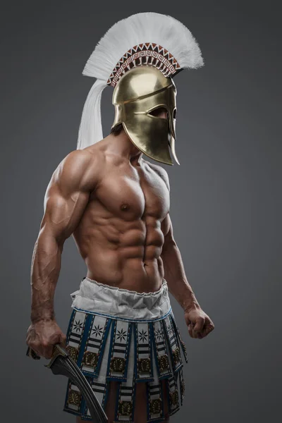 身强体壮 身强体壮 身强体壮的古希腊士兵的画像 — 图库照片