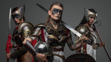 Soğuk çelikten yapılmış, gri arka planda zırhlı antik amazonların stüdyo fotoğrafları..