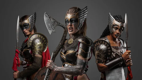Porträtt Majestätiska Amazoner Klädda Rustningar Beväpnade Med Spjut Och Yxa — Stockfoto
