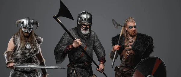 Estudio Tiro Anciano Vikingo Con Dos Bárbaros Sobre Fondo Gris —  Fotos de Stock