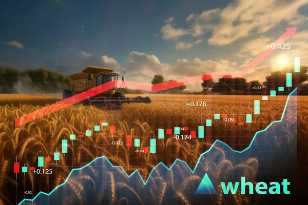 Rise Price Crisis Shot Field Grain Diagram Going — Stock Photo, Image