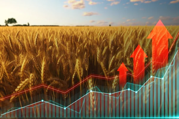 Aufnahme Riesiger Getreidefelder Mit Aufsteigenden Graphen Und Pfeilen — Stockfoto