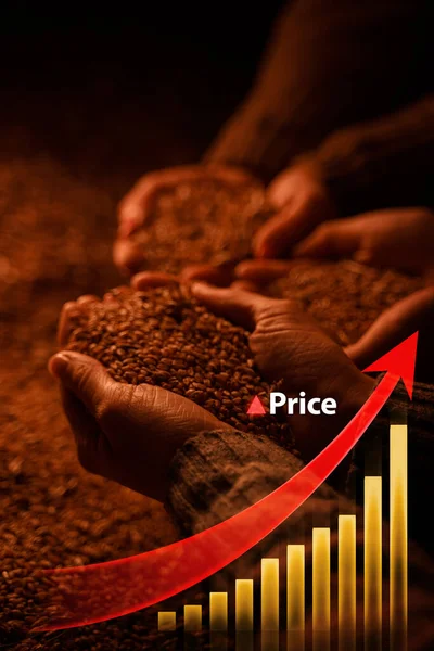 Concept Deficit Farmers Holding Wheat Grains Diagram Going — Stock Photo, Image