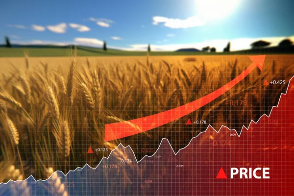 Shot Extensive Wheat Fields Countryside Graph Going — Stock Photo, Image