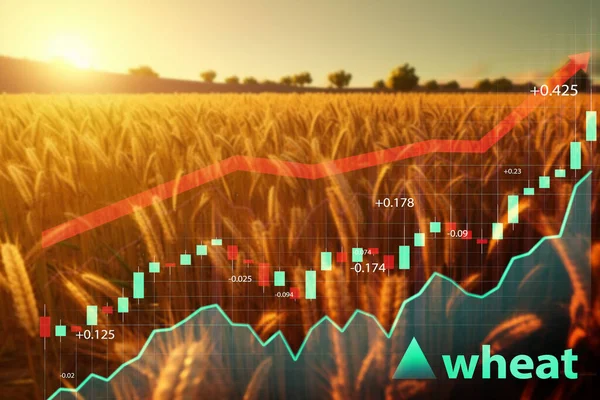 Rise Price Crisis Shot Field Grain Diagram Going — Stock Photo, Image