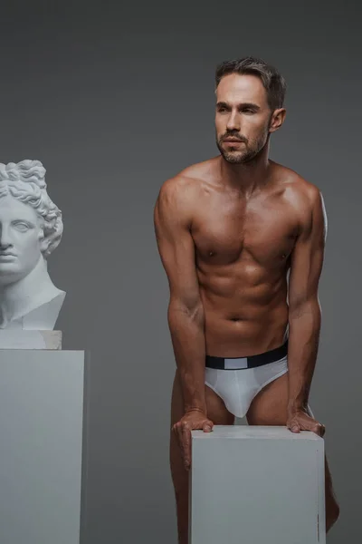 Stunning Male Model Chiseled Torso Underwear Striking Pose Next Bust — Stock Photo, Image