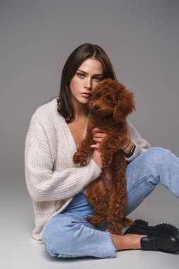 Elegant brunette in white top and denim shorts sits on the floor, adoringly holding her toy poodle, against a gray studio background clipart