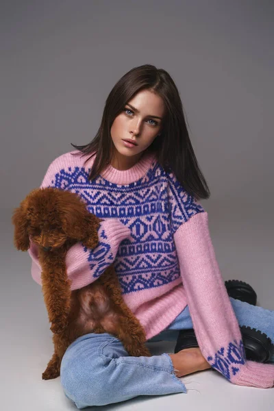 Alluring Brunette Rose Hued Knitwear Cradling Her Cherished Toy Poodle — Stock Photo, Image