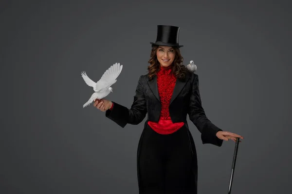 身着服装 头戴黑色圆筒帽的优雅的幻术者在柔和的灰色背景下表演迷人的鸽子魔术 — 图库照片