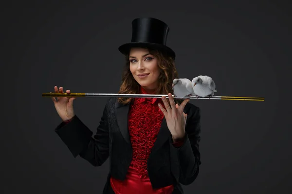 Mystical Performance Female Magician White Doves Gray Background — Stock Photo, Image