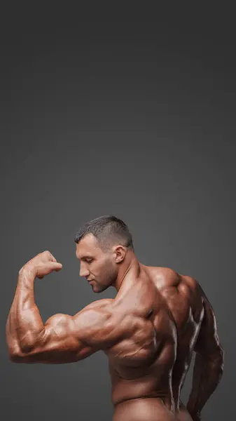 从一个全身赤裸的肌肉男的后面看去 摆出一个姿势 在灰色的背景下展示他紧张的肌肉 — 图库照片